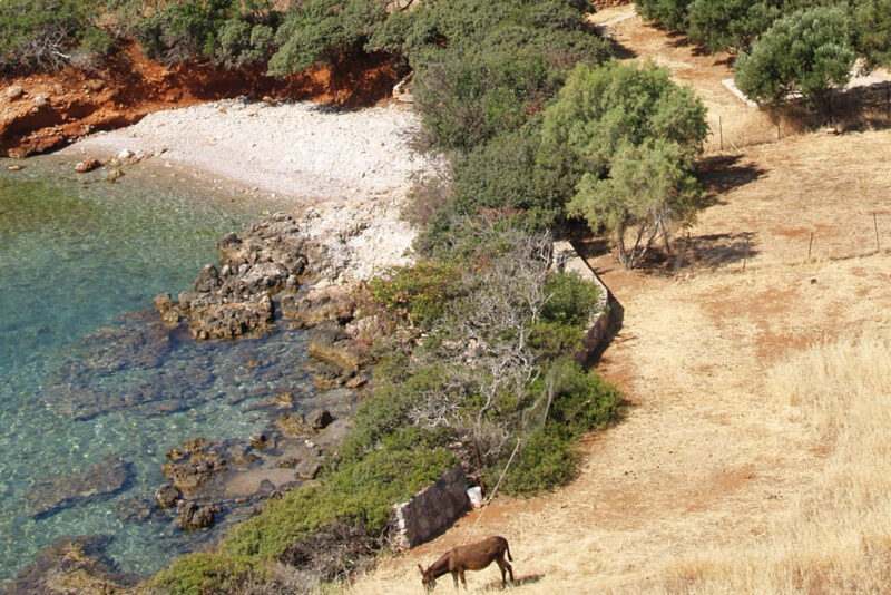 Cretan Village - Afbeelding 5