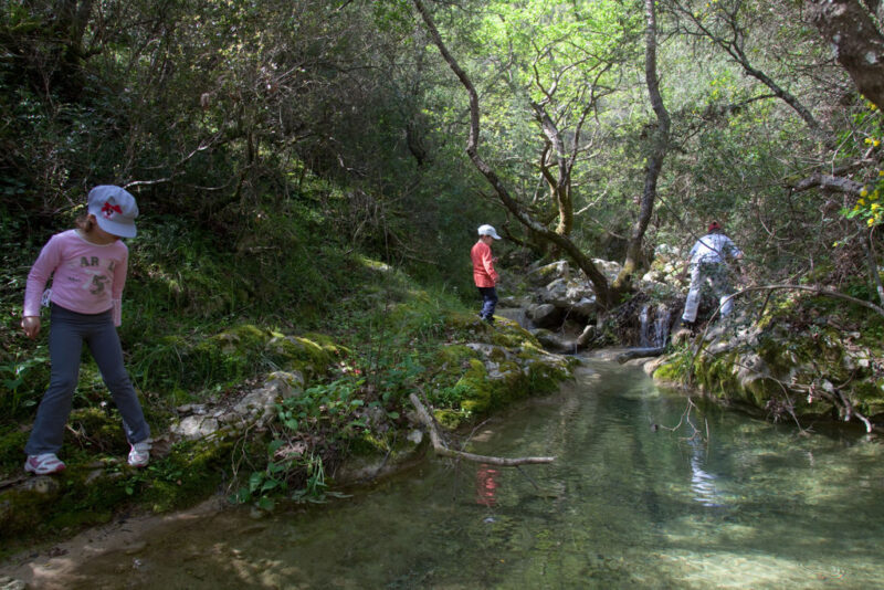 Excursiereis Lefkas - Afbeelding 5